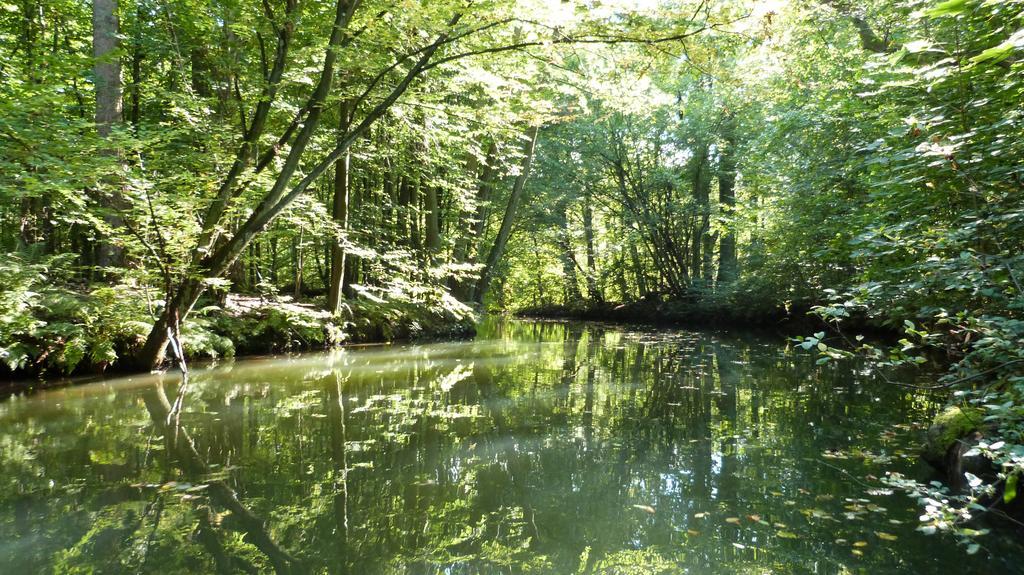 Gaestehaus Liubas Insel Köthen Dış mekan fotoğraf